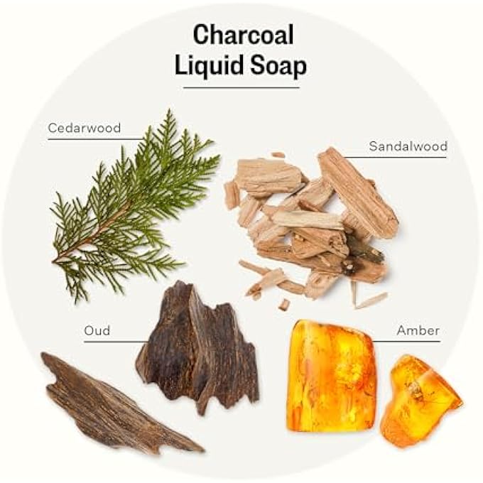 APOTHEKE LIQUID HAND SOAP, CHARCOAL (10 FL OZ) - HYDRATING HAND WASH WITH NATURAL COCONUT & ALOE VERA - Image 2